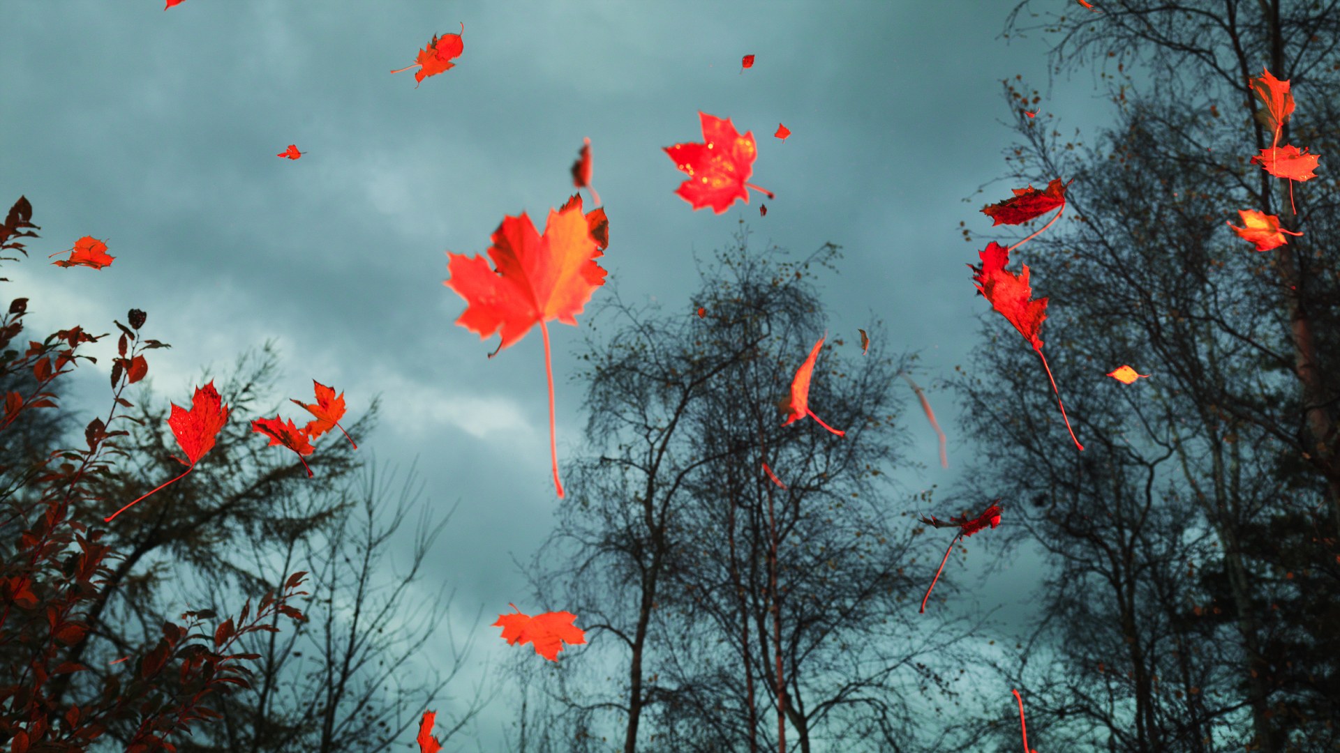 Небо закат осень. Корабль на балтийском море. Жгут неба. Осень в небе жгут. Осень в небе жгут корабли.
