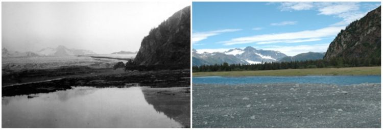 NASA Images - Bear Glacier, Alaska. July, 1909 — August, 2005.
