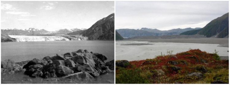 Carroll Glacier, Alaska. August, 1906 — September, 2003.