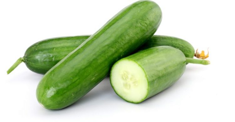 Health Benefits of Cucumber is most cultivated vegetable in the world and acknowledged to be one of the best foods for your health. 