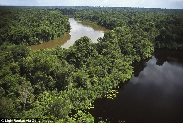 Brazilian police were able to track Anton down as he was heading into the dangerous northern Brazilian state of Amazonas