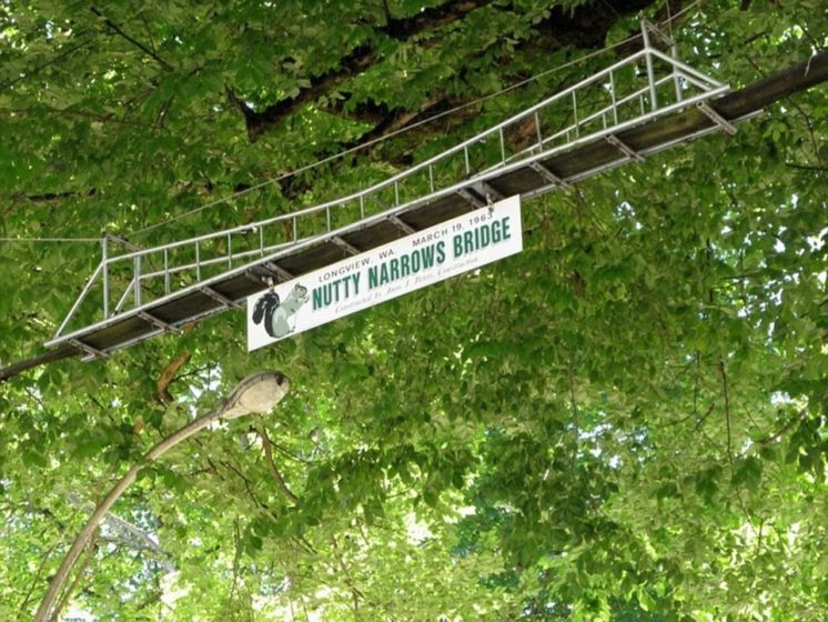 Nutty Narrows squirrel bridge is a small suspension structure which was built in 1963 above one of the main roads in Longview, Washington