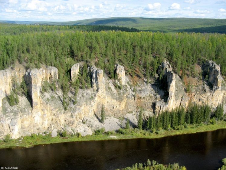 The pillars’ rocks formed in Cambrian sea basins more than 500 million years ago and are made up of alternating layers of limestone, marlstone, dolomite, and slate.