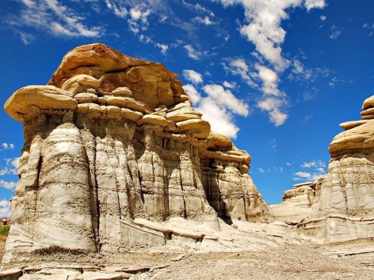 Here are recreational activities in the Bisti/De-Na-Zin Wilderness includes hiking, camping, wildlife viewing, photography, and horseback riding. Make sure, campfires are forbidden in the Wilderness.