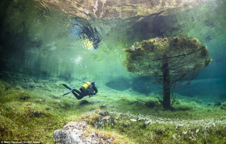 This tree stands out somewhat against the watery landscape. Gallons of melted snow water pour from the nearby Karst mountains to expand the lake