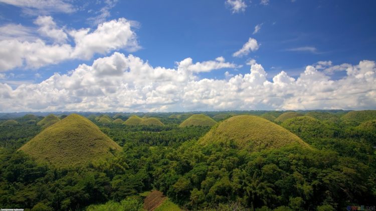 Bohol’s most eminent natural attraction is Chocolate Hills which is covered with small grass & conical shaped hills scattered of over 50 SKM