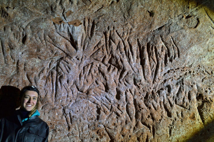 Claw marks are clear signs from the engineers who dug the tunnel. (Courtesy Heinrich Frank)