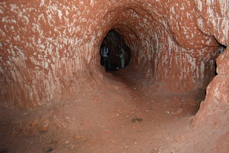 Inside the first paleoburrow discovered in the Amazon. It’s nearly twice as large as the second-largest known burrow, located elsewhere in Brazil. (Credit Amilcar Adamy-CPRM)