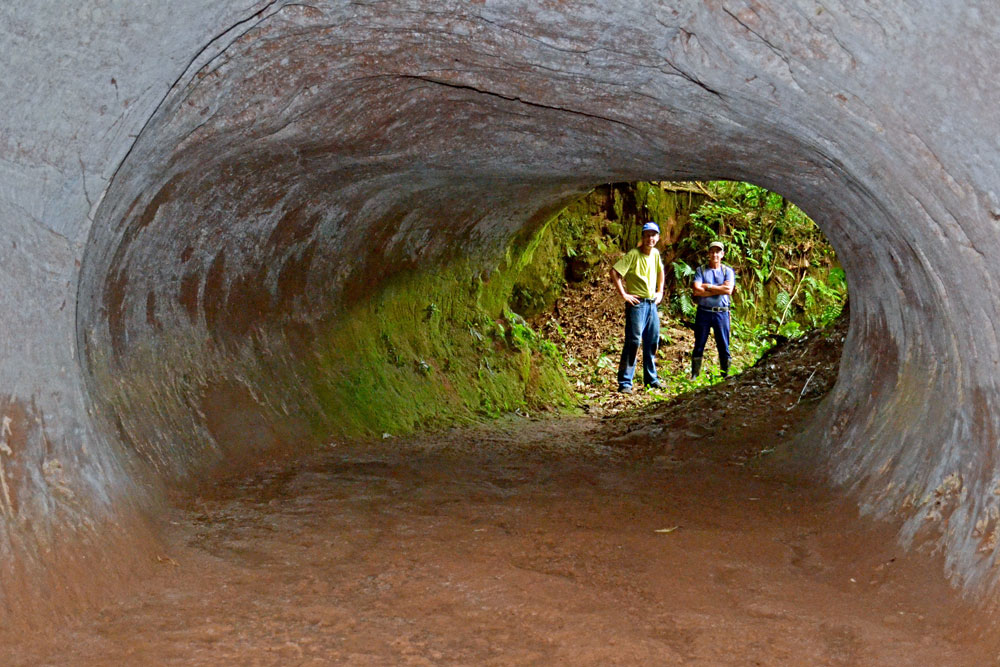 Looking into a large paleoburrow in Brazil. (Courtesy Heinrich Frank)