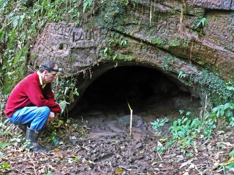 These mammoth Tunnels Dug by Massive Sloths humongous "paleoburrows" that one can walk around 2,000 feet long 6 feet tall & 3 to 5 feet wide.