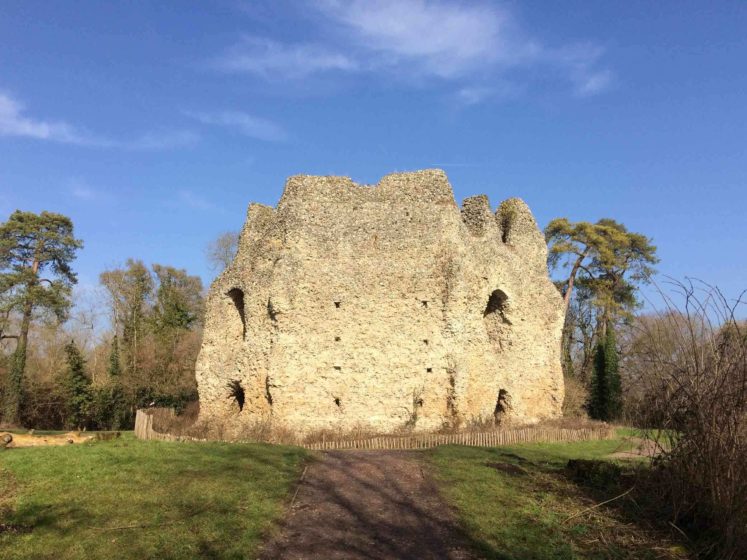 The most southerly corner of the moat survives in the form of a small overgrown pond on the opposite side of the canal from the rest of the castle. 