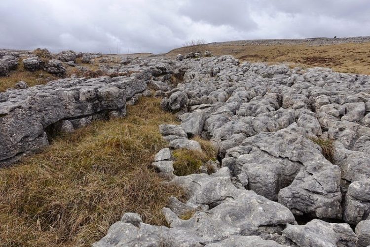 Therefore, most of pavements were damaged by mining over the centuries. The Great Asby Scar, near the village of Great Asby, and Orton Scars, near Orton, comprise some of the best enduring examples in Britain. 