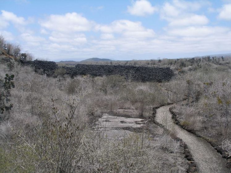 The wall is said to have been the cause of thousands of deaths during its construction, call it the wall of tears because it is said to emanate eerie cries and have a heavy energy surrounding it. Image credit Kathi Spencer