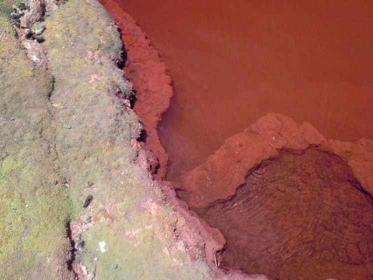 in Northern Chile the town of Camina, lies a strange Red Lagoon, 147 km from the city of Iquique, approximately 3,700 meters above sea level.