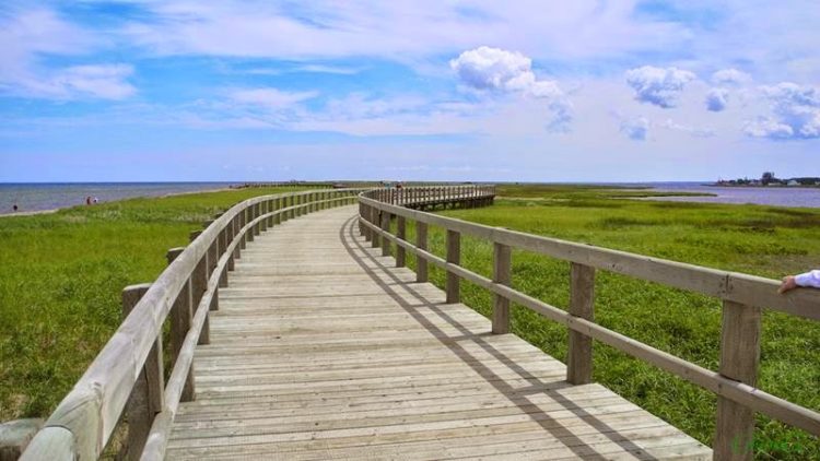 The boardwalk is wheelchair, accessible with ramps to the beach and inner bay, and as such, this earth-cache is wheelchair friendly. Image credit photo fiddler