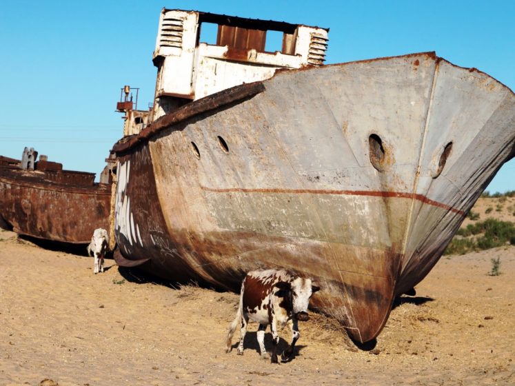 In Uzbekistan, an eerie ships graveyard filled with hauntingly beautiful shipwrecks beckons is literally a ghost town in the middle of the desert.