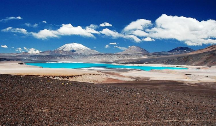 This is one of some striking colored lakes, including the Laguna Colorada, where the fiery red waters and arctic-white shores a result of salt and borax deposits contrast with the colors of the lake's three species of breeding flamingos. 