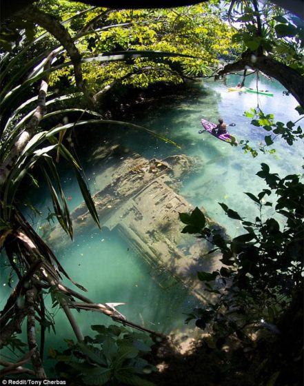 Holiday tourists visiting the Micronesian archipelago of Palau discovered an unusually rare sight, recently - after stumbling across a doomed WW2 plane. 