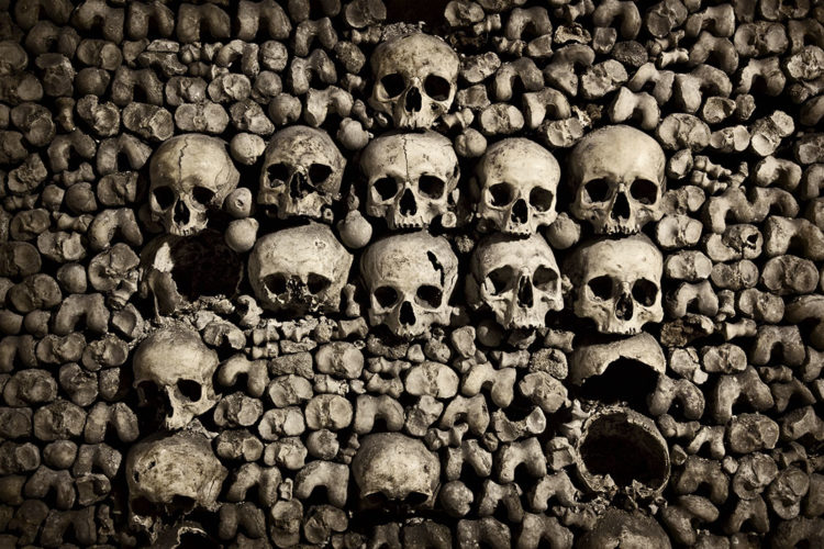 The popular place houses the skeletal remains of some six to seven million former Parisians, however not all areas of the Catacombs are open to the public.