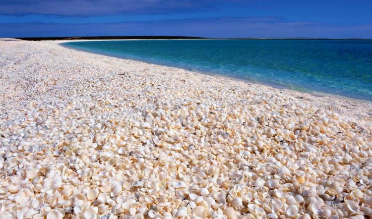 This beautiful snow-white beach is made up of millions of tiny shells transforms into a palette of the most intense greens and blues - and the water is very salty (hyper-saline), making it easy to float for those who aren’t solid swimmers.
