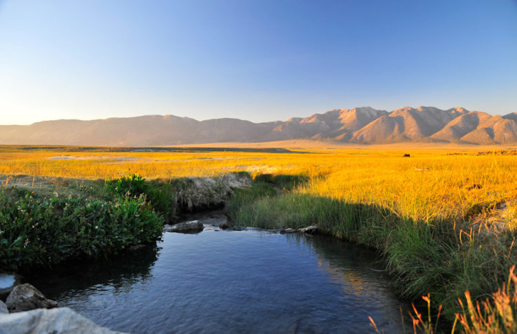 Wild Willy's Hot Springs