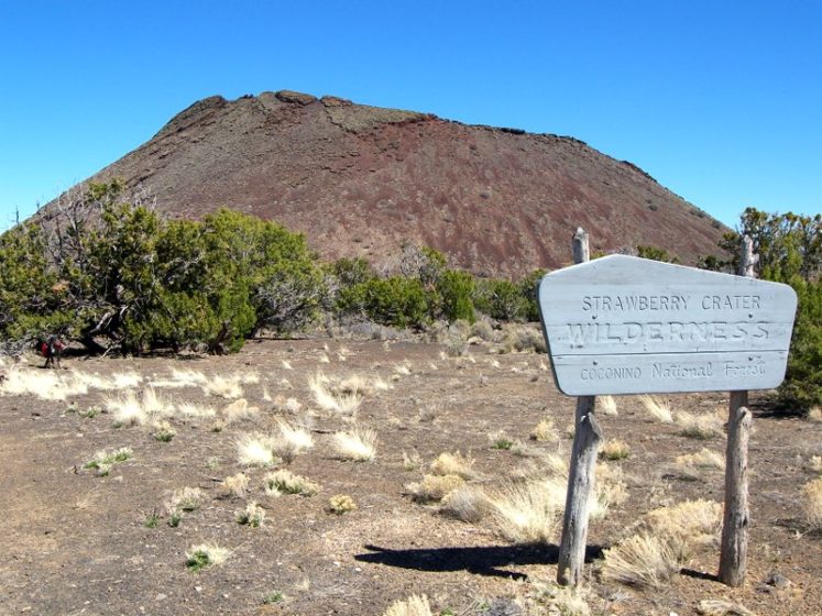 The Strawberry Cone wilderness area covers 10,743 acres, comprising of cinder cones, hills, and arid terrain.