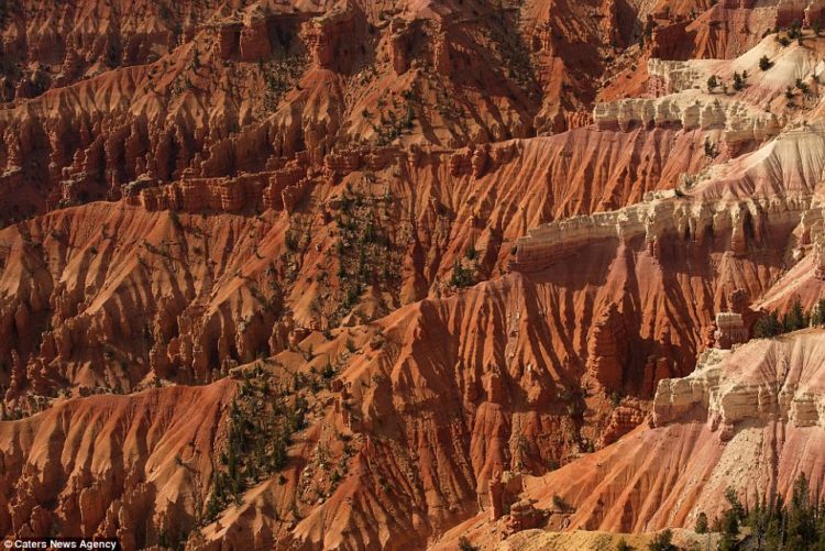 Many of Mr. Todorov's pictures show a different angle on American Landscape life. Pictured is the Cedar Breaks National Monument in Utah