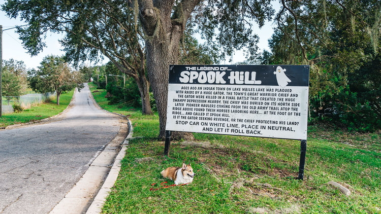 Spook Hill ! Florida's Magnetic Hill