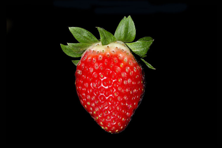 Benefits of Eating Strawberry are an excellent antiseptic and anti-inflammatory agent. Strawberry suppresses the development of the influenza virus.