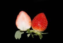 Benefits of Eating Strawberry