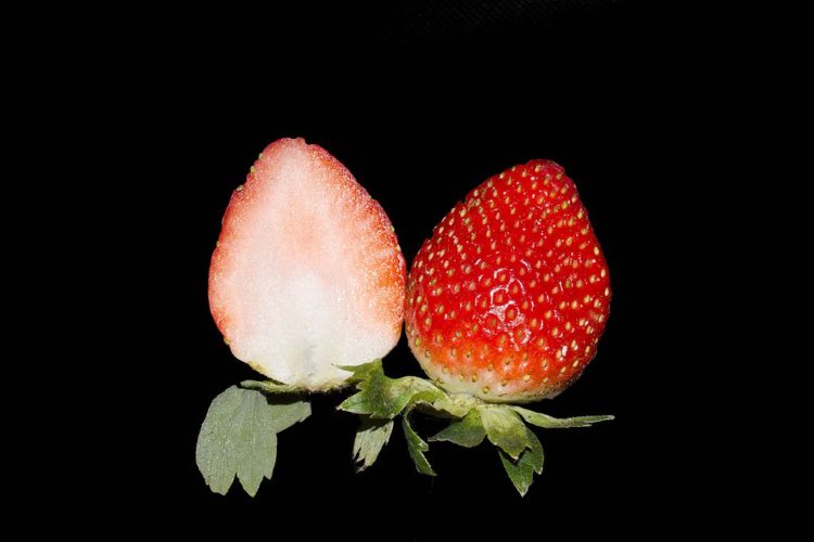 Strawberry Cross BNC Benefits of Eating Strawberry