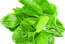Spinach – Grow World’s Most Healthiest Food