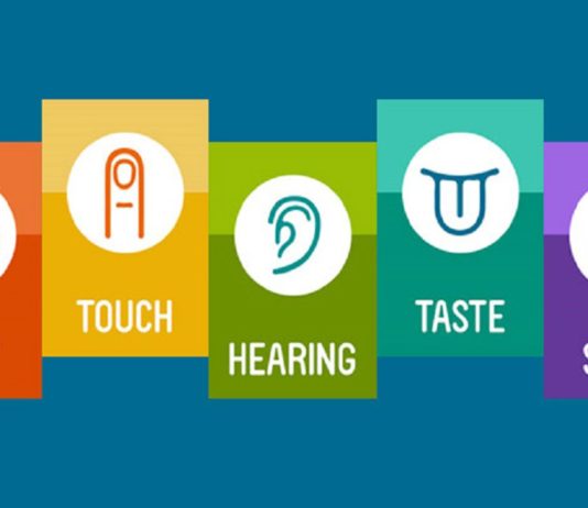 Why Senses are so Important to Human Body?