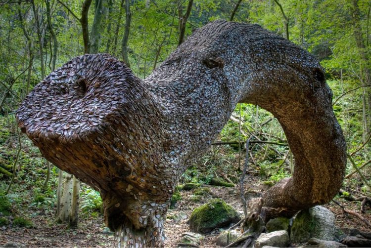 Coin Wishing Tree 2 Coin Wishing Trees