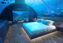 First Ever Undersea Villa of Maldives Guests at the Conrad Maldives Rangali Island will soon have the chance to sleep with the fishes