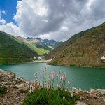 Lulusar Lake is wreathed in blue and gold wild flowers enchanting beauty and its view remains in the mind of tourist for a long time.