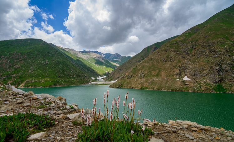 Lulusar Lake is wreathed in blue and gold wild flowers enchanting beauty and its view remains in the mind of tourist for a long time.