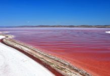 The Bright Red Algae of Tuz Golu Lake