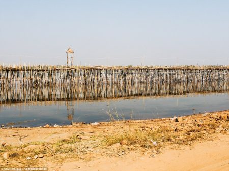 The Bamboo Bridge is strong enough to accommodate motorbikes, cars, bicycles and Trucks.