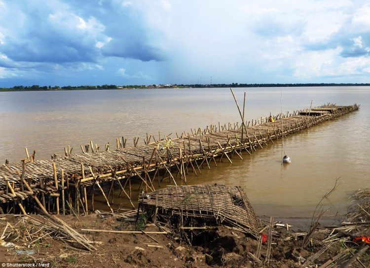 Due to fear of flood in rainy season starting May till November, the locals dismantle the Bamboo Bridge and store all of bamboos. 