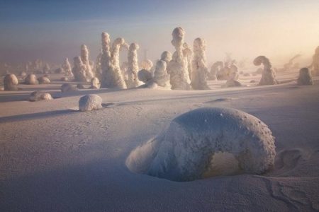 Photographer Captures Stunning Photos of Snow Trees