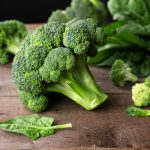 Our basic green broccoli, sometimes called "sprouting broccoli" and ‘calabrese’ in Europe, came originally from Italy. It makes a big plant with deep, spreading roots.