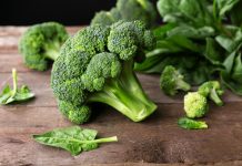 The Best Way to Grow Broccoli Our basic green broccoli, sometimes called "sprouting broccoli" and ‘calabrese’ in Europe, came originally from Italy. It makes a big plant with deep, spreading roots.