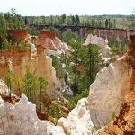 Providence Canyon is a perfect example of a testament to the power of man’s influence on the land. Surprisingly it isn’t at all natural. Many Georgians aren't aware of Providence Canyon It's situated in an outdoor recreation area that encompasses 1,103 acres and 16 canyons.