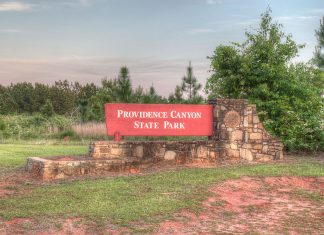 Providence Canyon – Georgia’s Little Grand Canyon This is a network of gorges and huge gullies lovingly called Georgia's “Little Grand Canyon.” Providence Canyon is considered to be one of Georgia’s “Seven Natural Wonders”.