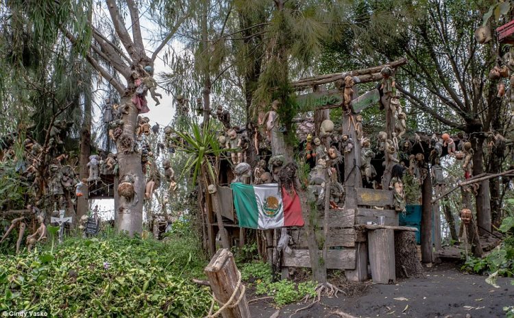 A reclusive Mexican man who believed dedicated to the soul of young girl, appease the troubled ghost who passed away at a tender age there over 50 years ago, still haunts the woods today.