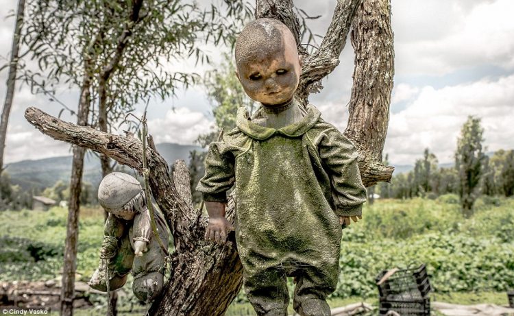 The island of dolls is a creepiest destination in Xochimilco, Mexico.