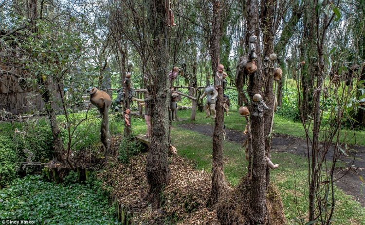 It was a floating garden, now home to hundreds of terrifying, mutilated dolls.