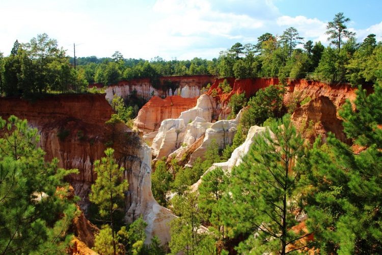 These small channels started to further focus runoff increasing the rate of erosion. Nowadays, some of the gullies at Providence Canyon are about 150 feet deep.