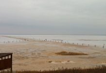 Digging Crystals at Oklahoma’s Great Salt Plains